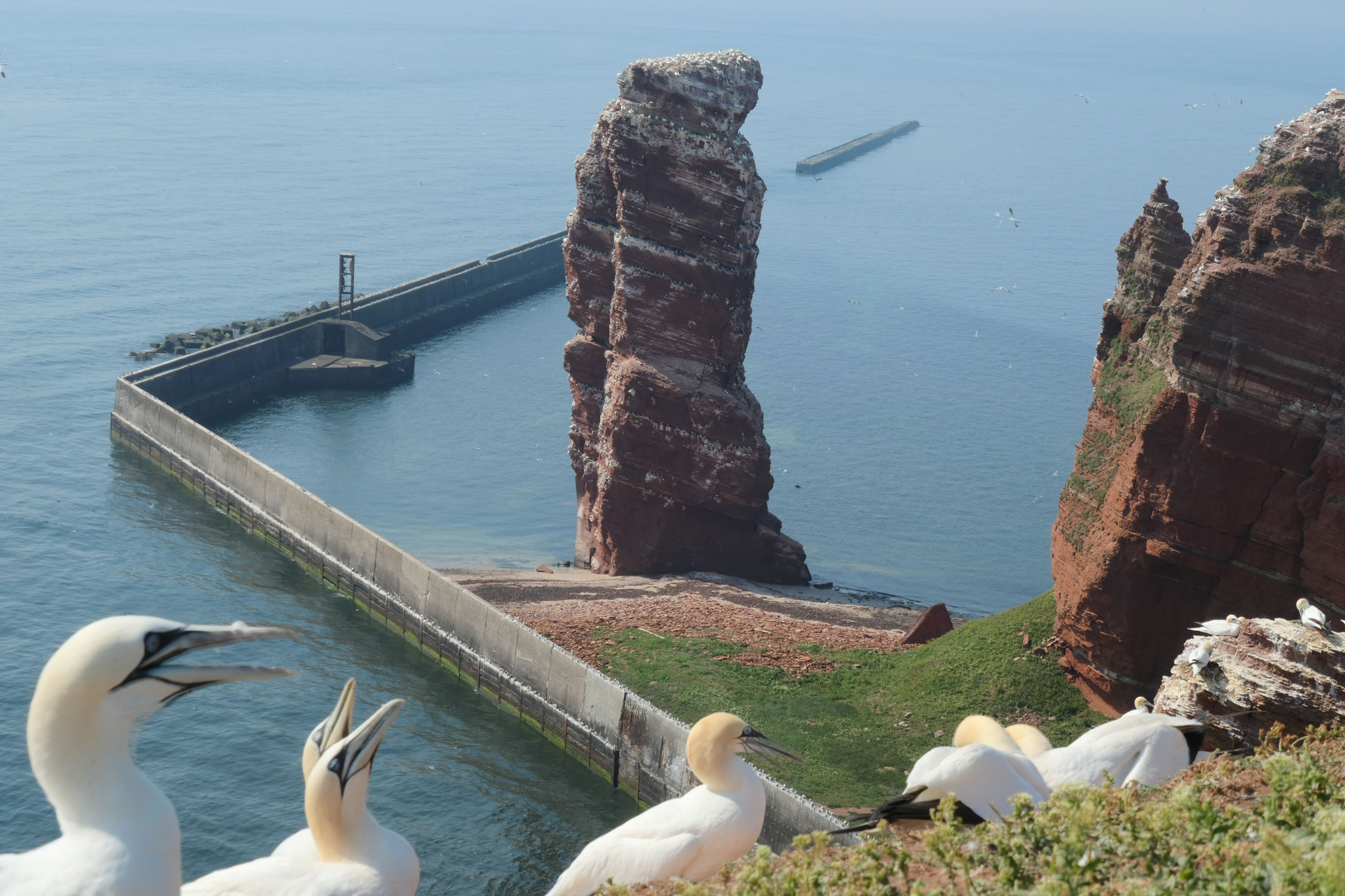 Helgoland 11